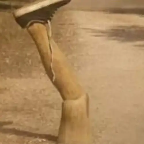 in gamba squadra memorial brel